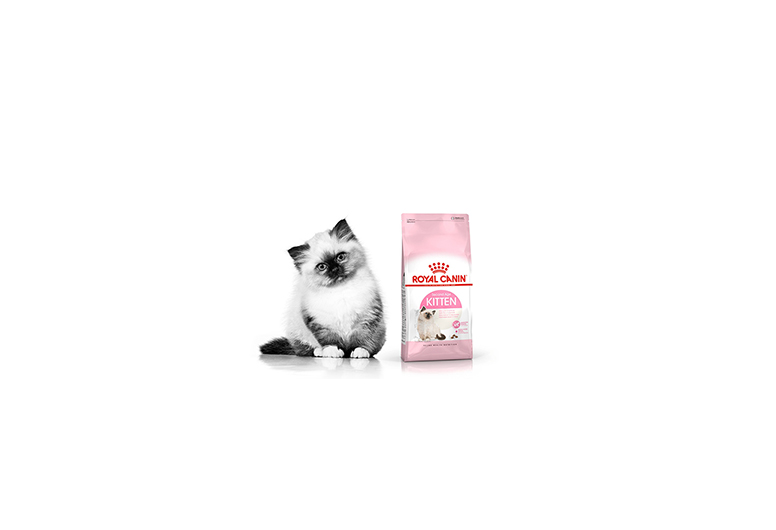 harga royal canin